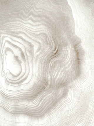 Worries III, 14 of 14